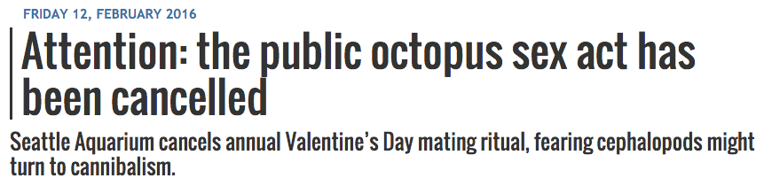 iamthelowercase: ebonykain:   alienpapacy: love is fucking dead. valentines day used