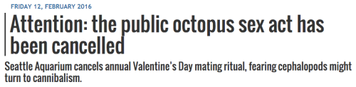 silverskyy:
“iamthelowercase:
“ ebonykain:
“ alienpapacy:
“love is fucking dead. valentines day used to mean something
”
So for people who don’t know, Seattle Aquarium has a breeding program to try and help save the endangered Pacific Giant...