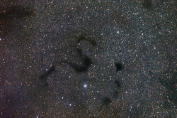astrowhat:  A Snake in the DarkBarnard 72, known as the Snake Nebula, is a dark nebula 650 light years away.  that&rsquo;s breathtaking good looks that is awesome