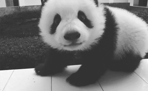 haiilmaredentroliride:  occhiluccicantiemanifredde:  occhiglaciali:  iaiapici:  Oh