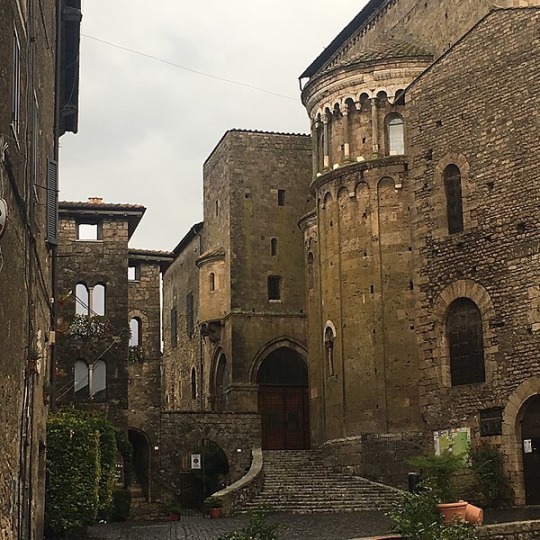 malemalefica:   ‪The beginning of the construction of the Cathedral of Anagni (Italy) in its current form dates back to San Pedro de Salerno,bishop of Anagni from 1062 to 1105. The most remarkable is its crypt, which they call the Sistine Chapel of