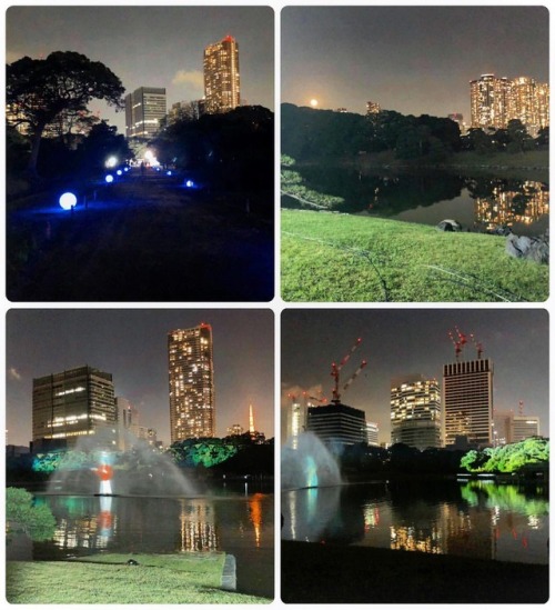 ＼おにわさん更新情報／ ‪[ 東京都港区 ] 浜離宮恩賜庭園（夜間公開） Hamarikyu Garden (in Night), Minato-ku, Tokyo の写真・記事を更新しました。 ーー