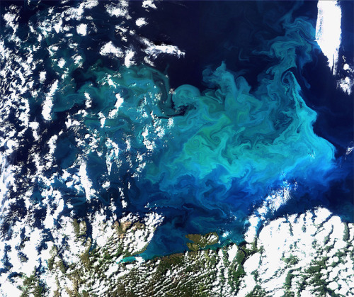 martinekenblog:  Observing the Earth: Incredible Satellite Photos of Earth from the European Space Agency 