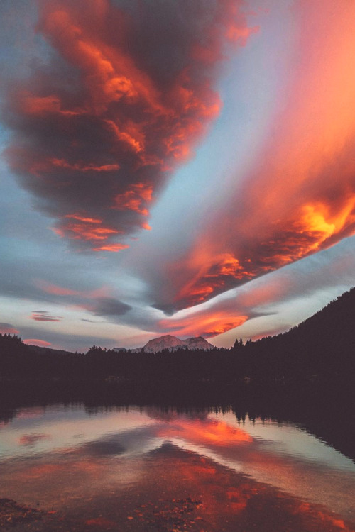 lsleofskye:   Nature is the art of God - Dante Alighieri | iw.wm