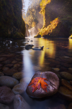 oceanpath:  Fall at the Punchbowl by Dylan Toh &amp; Marianne Lim on 500px 