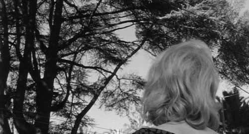 barcarole:  L’eclisse, Michelangelo Antonioni, 1962 