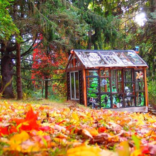 The fall foliage is out of control this year.Hope it lasts a while.#cabin #fallfoliage #fallcolors #