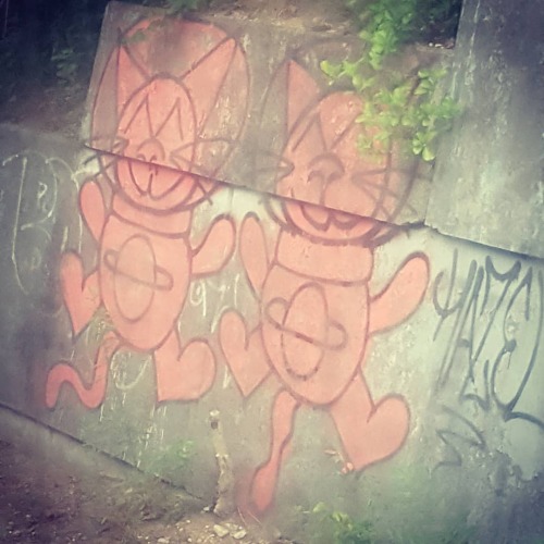 #throwbackthursday to the super cute cat #graffiti I saw in #longisland back in 2017. Gotta love t