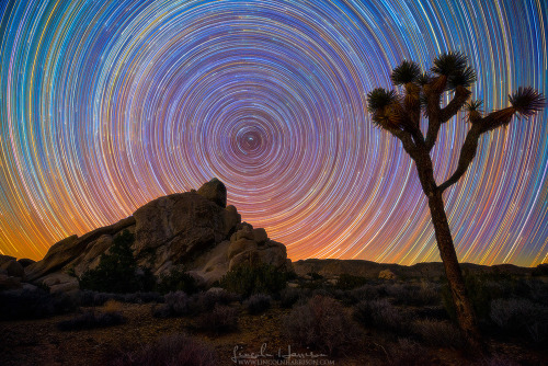 spinningblueball:Star Trails By Lincoln Harrison
