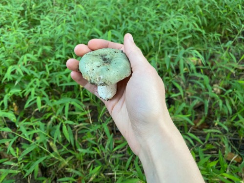 Green!!!