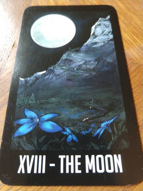 themixedwitch - Welcome to Night Vale Tarot Deck ReviewOverall, I give this deck 4.5 stars.Good...