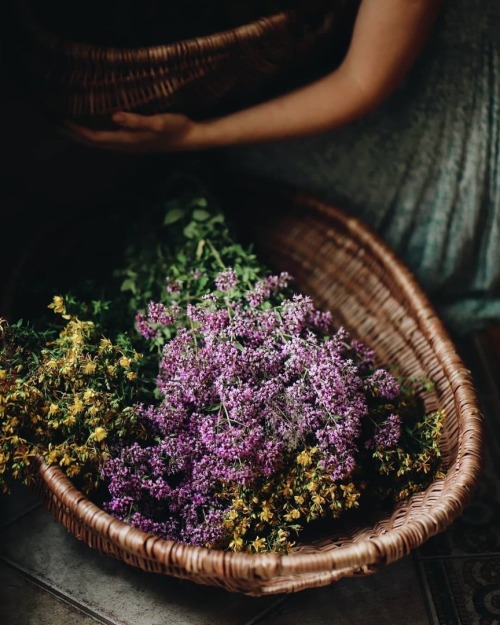 herbalism