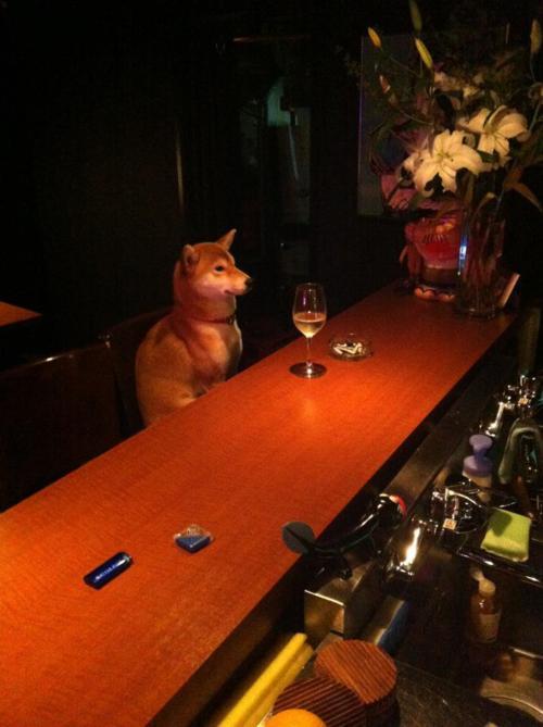 animalstalkinginallcaps:  &ldquo;I’M LEAVING YOU.&rdquo; THAT’S ALL HE