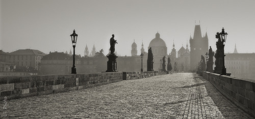 This limited edition Lager designed by BBDO celebrates Prague and the famous Carl&rsquo;s bridge.