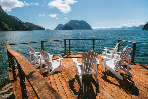 We spent the weekend watching rafts of sea lions swim by the deck.Orca Island, Humpy Cove, Alaska