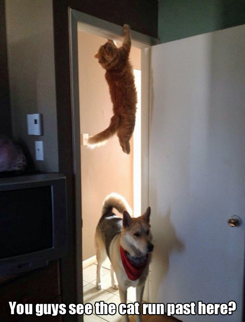 tastefullyoffensive:  [via]