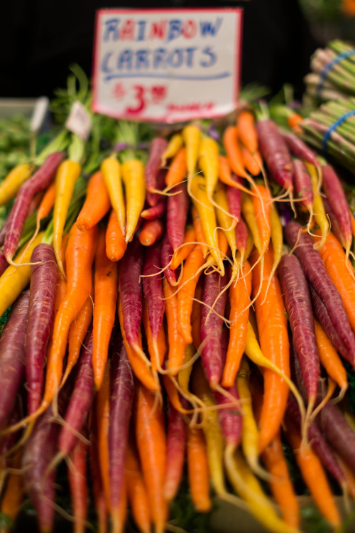 lightthrumylens: Seattle, Washington