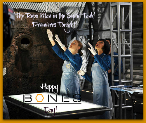 Happy #Bones Day, everyone!!