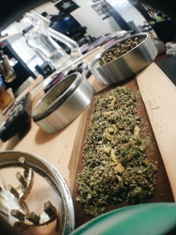 marihuanalegal:  brndns-baked:  Blunnnnnnnnnnnnnt http://ift.tt/1nWVPPS
