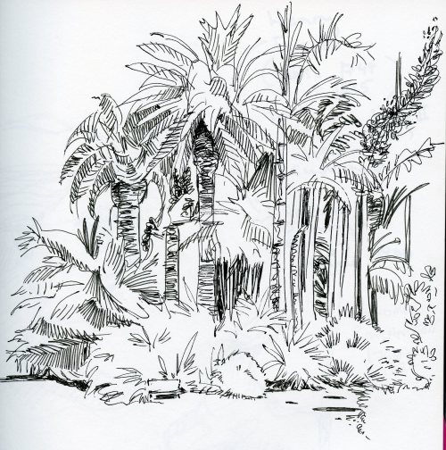 pen sketch of the Huntington gardens