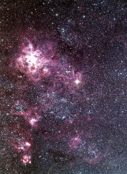 Large magellanic cloud