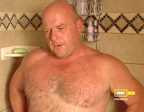 hunksofthesilverscreen:Uncle Hank (Dean Norris) takes a shower in Breaking Bad