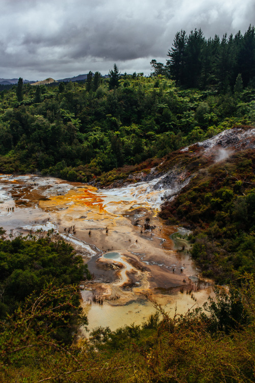 Orakei Korako, Off the Thermal Highway between Rotorua and Taupo, Central North Island, NZ.