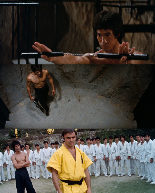 Enter the Dragon (1973)dir. Robert Clouse / dop. Gil Hubbsii/ii