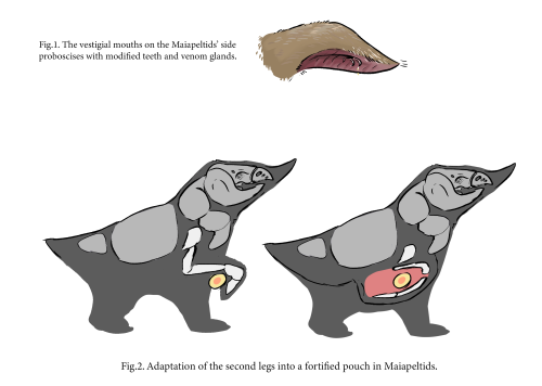 Here’s my submission for Wallace ll!The Maiapeltids (”Mother Sheilds”) are a family of megafauna der