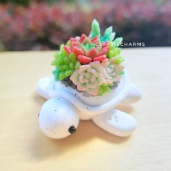 sosuperawesome: Succulent Turtles  Claybie