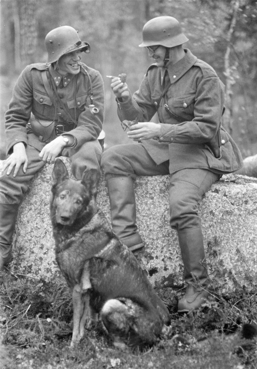 Soldiers accompanied by a dog during the Continuation War.