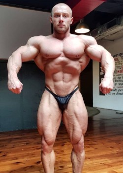 musclebull23:  