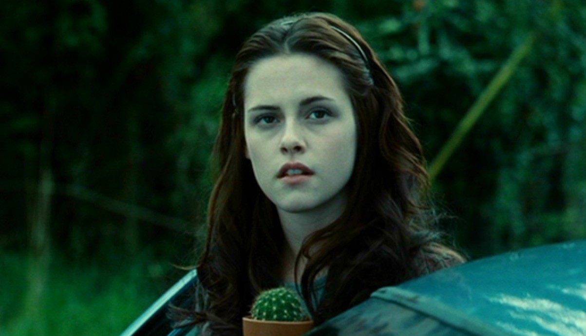 alexandriaocasiocortez:alexandriaocasiocortez:Whenever I think about the Twilight movies my mind instantly goes to the scene where Bella first steps out of her father’s car holding a tiny cactus. And then I remember the parody movie they made of