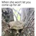 666hammerhead: 😂