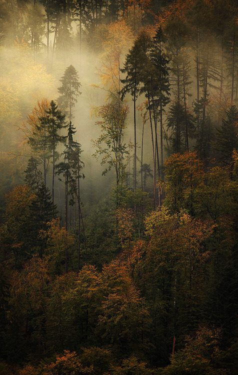 heyfiki:Ghostly Memories by alexandre-deschaumes
