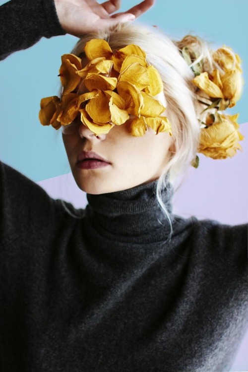 troyeboyish:  these are so beautiful. 