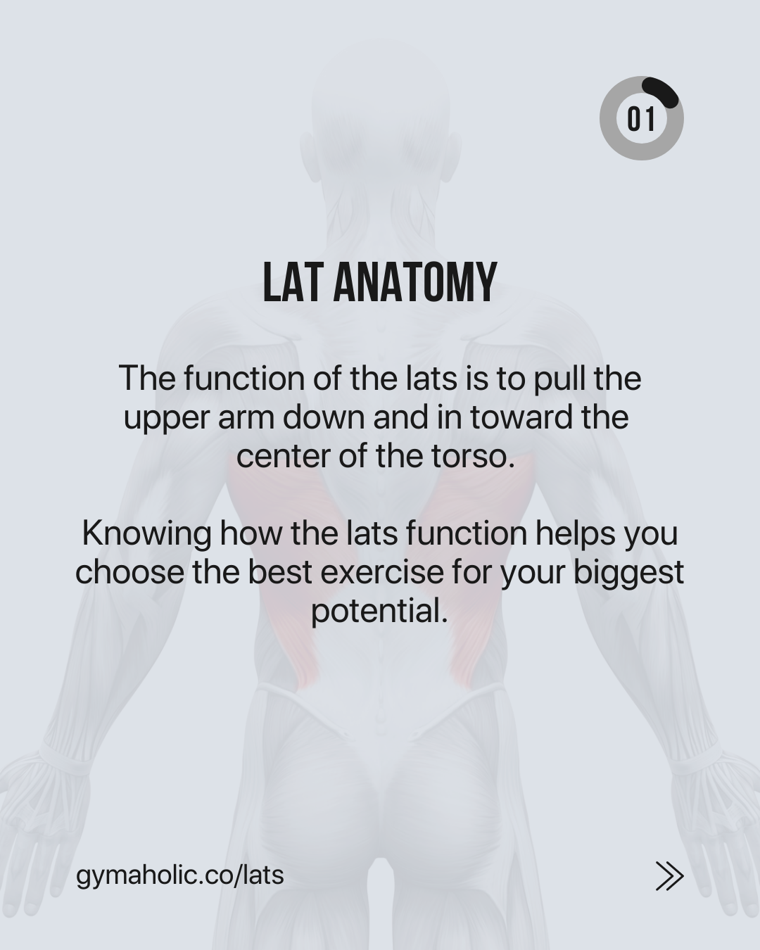 Optimize Your Lat Training