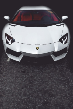 wormatronic:  White Aventador | More