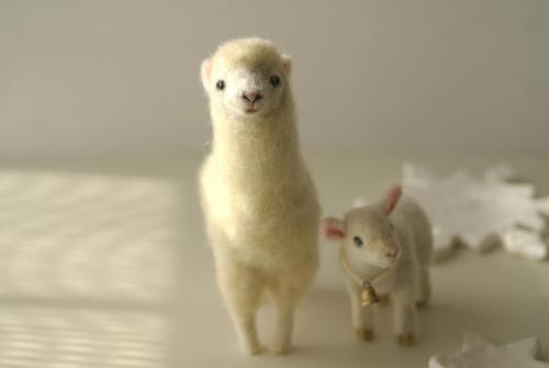 alpaca