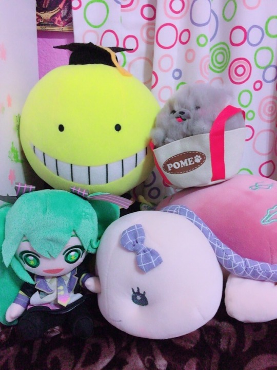 flying mint bunny plush