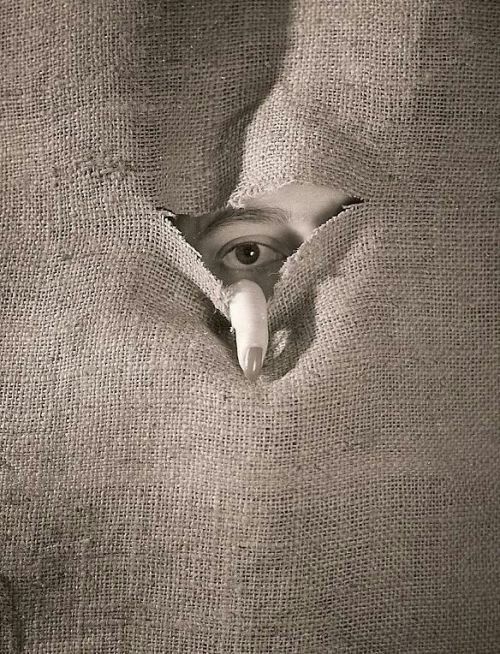 creativespark:Wolfson Stuart
