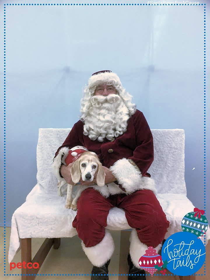 Angels for Sara — Santa agrees to December 22 Petco photo encore!