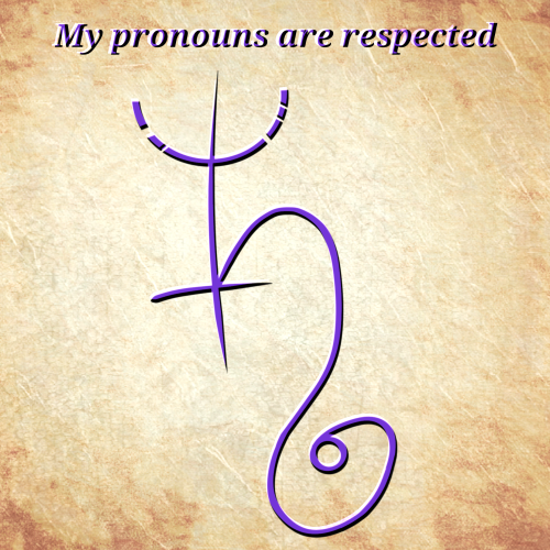 &ldquo;My pronouns are respected&rdquo; For my lovely trans and otherwise gender non-conform