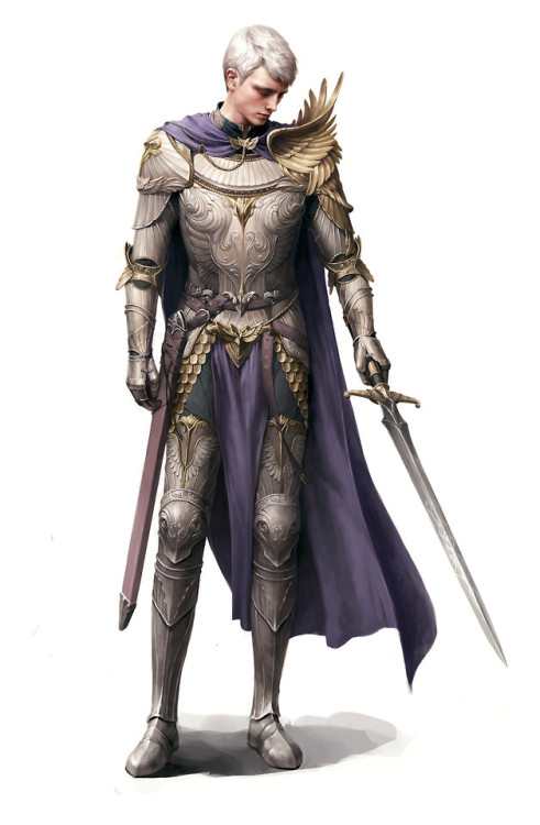 Paladin  Siwoo Kim www.artstation.com/artwork/gwZdP