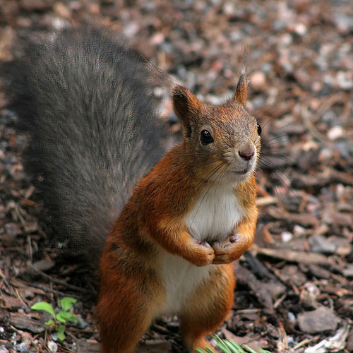 Sooo many squizles!!!!