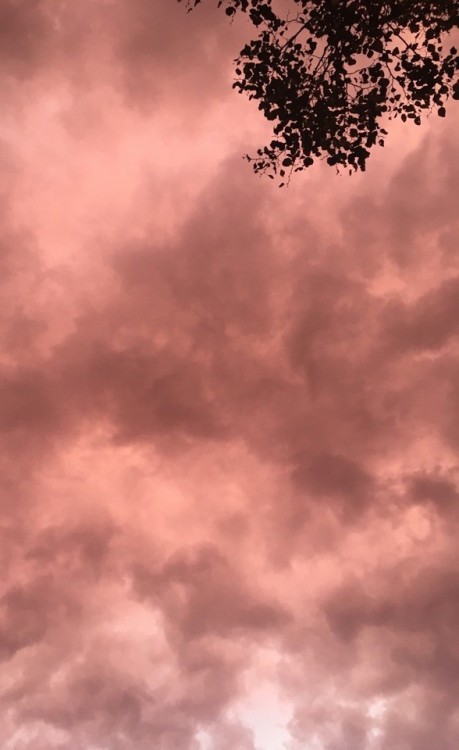 temporary:  two parts to one whole, me + you   | instagram   