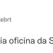 seu-bobo-da-corte: