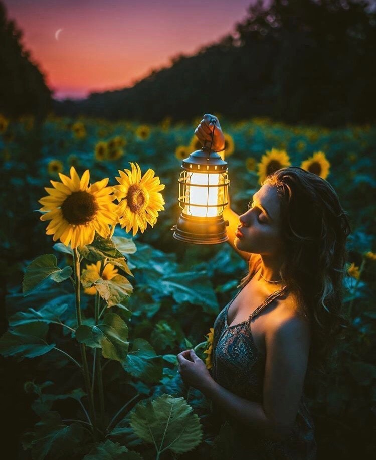 Behold Nature And Her Creatures