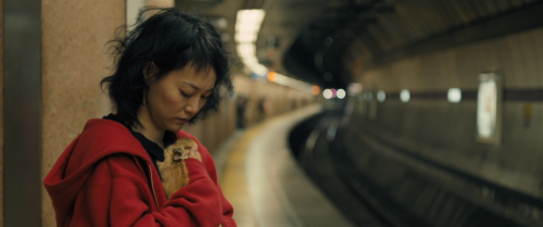 brand-upon-the-brain:Kumiko, the Treasure Hunter (David Zellner, 2014)goodbyes haunt me