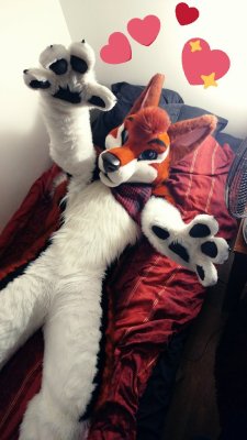 fursuitpursuits:RT @KayJayFIN: I had fun being a fluffy doggo today! ^^ Come here and gimme a snuggle!! &lt;3 https://t.co/3RCdg1s8Lt (Source) x3